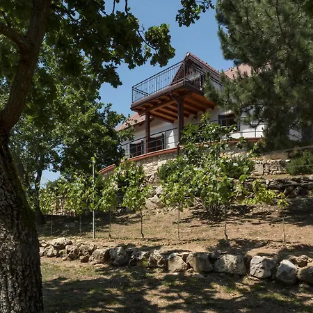 Monte Balaton Σπίτι διακοπών Paloznak