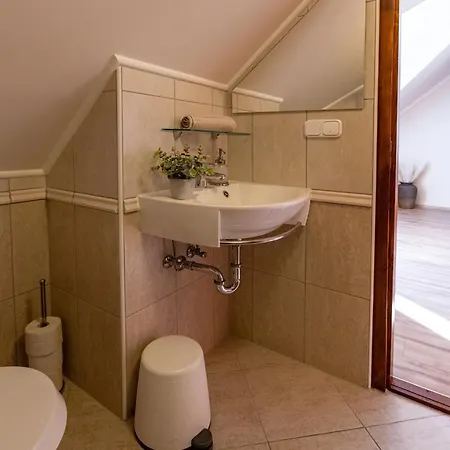 Monte Balaton Палознак