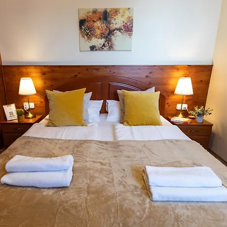 Monte Balaton Дом отдыха *