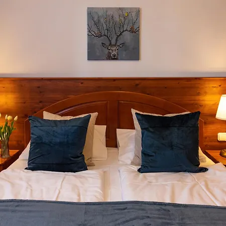 Monte Balaton Дом отдыха *